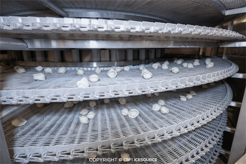 Kajian Kes: Barisan Pengeluaran Dumpling Beku Cepat 1 Tan sejam di Orsk, Rusia