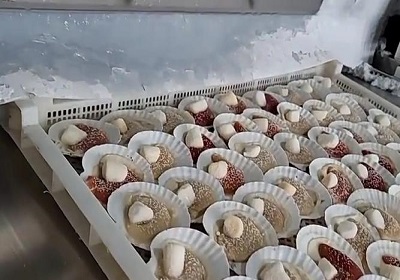 Prinsip Penyejukan dan Kelebihan Penyejuk beku Terowong