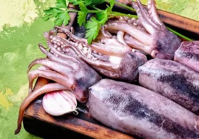 Mesin Pembekuan Sotong yang Cekap: Pembeku Terowong lwn Pembeku Pinggan untuk Pemprosesan Makanan Laut